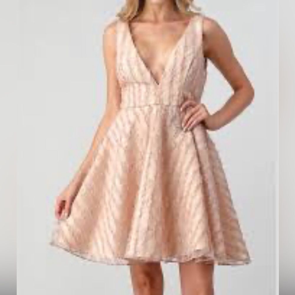 Lulus Enchant Me Mauve Pink Lace Sleeveless Skater Dress Size Small NWT